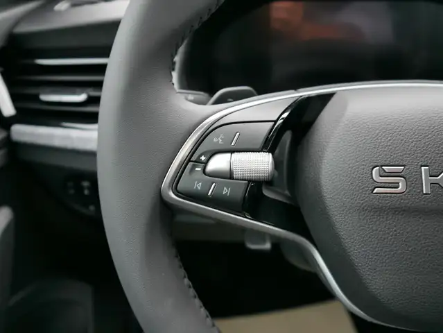 Skoda Kamiq view 12