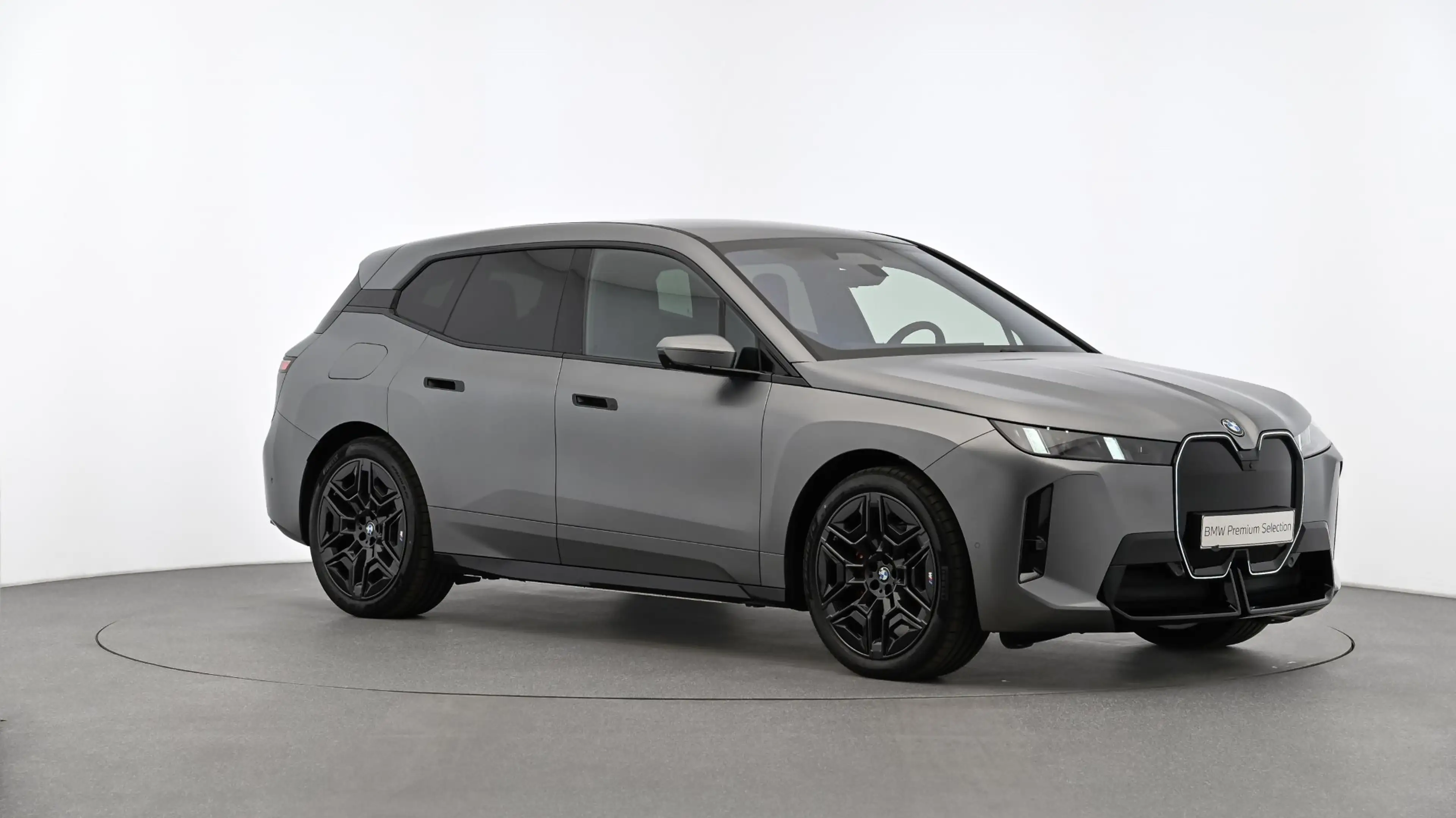 BMW iX xDrive45 *M-Paket Pro/AHK/Soft Close/Sitzlüftung/H&K Sound/Innovationspaket/DA-Prof./Adapt. LED* — photo 8