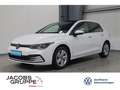 Volkswagen Golf VIII 1.5 TSI Navi*Pano*IQ*ACC*SHZ Life Weiß - thumbnail 1