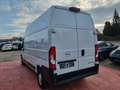 Opel Movano C Kasten GKa L3H3 3,5t Edition Weiß - thumbnail 4