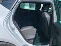 CUPRA Leon 1.5 TSI 110kW (150CV) Weiß - thumbnail 25