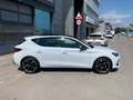 CUPRA Leon 1.5 TSI 110kW (150CV) Weiß - thumbnail 3