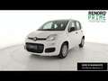 Fiat Panda 1.0 firefly hybrid s&s 70cv 5p.ti Bianco - thumbnail 1