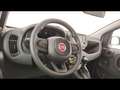 Fiat Panda 1.0 firefly hybrid s&s 70cv 5p.ti Bianco - thumbnail 8