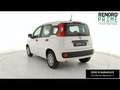 Fiat Panda 1.0 firefly hybrid s&s 70cv 5p.ti Bianco - thumbnail 7