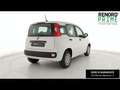 Fiat Panda 1.0 firefly hybrid s&s 70cv 5p.ti Bianco - thumbnail 5