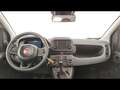 Fiat Panda 1.0 firefly hybrid s&s 70cv 5p.ti Bianco - thumbnail 11
