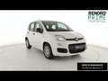 Fiat Panda 1.0 firefly hybrid s&s 70cv 5p.ti Bianco - thumbnail 6