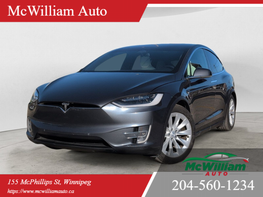 2017 Tesla Model X 100D l Lifetime FSD PKG l Upgraded Comp 3.0