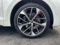 Audi SQ5 3.0 TDI quattro Matrix Leder B&O Weiß - thumbnail 13