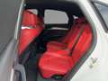 Audi SQ5 3.0 TDI quattro Matrix Leder B&O Weiß - thumbnail 9