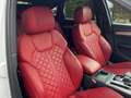 Audi SQ5 3.0 TDI quattro Matrix Leder B&O Weiß - thumbnail 14
