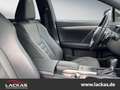 Lexus RX 450h AWD*F-SPORT*PANORAMA*TOP*VERFÜGBAR*LED* Grau - thumbnail 18