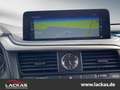 Lexus RX 450h AWD*F-SPORT*PANORAMA*TOP*VERFÜGBAR*LED* siva - thumbnail 15