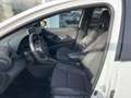 Mazda 2 Mazda2 Hybrid Homura Aut. Weiß - thumbnail 8
