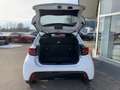 Mazda 2 Mazda2 Hybrid Homura Aut. Weiß - thumbnail 10