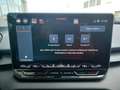 CUPRA Terramar 2.0 TSI 150 kW 4Drive Blau - thumbnail 14
