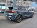 CUPRA Terramar 2.0 TSI 150 kW 4Drive Blau - thumbnail 4