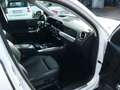 Mercedes-Benz GLB 220 4Matic Ahk 360° Kamer HeadUp Lenkradheiz Fehér - thumbnail 14