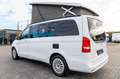 Mercedes-Benz V 250 Marco Polo V250CDI *Navi*Küche*190PS* Weiß - thumbnail 3