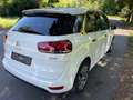 Citroen C4 Picasso BlueHDi 150 Intensive Euro6 Top Ausstattung Blanc - thumbnail 6