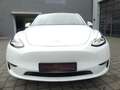 Tesla Model Y Long Range Dual AWD PANO/WÄRMEPUMPE Weiß - thumbnail 15