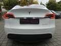 Tesla Model Y Long Range Dual AWD PANO/WÄRMEPUMPE Weiß - thumbnail 18