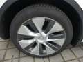 Tesla Model Y Long Range Dual AWD PANO/WÄRMEPUMPE Weiß - thumbnail 19