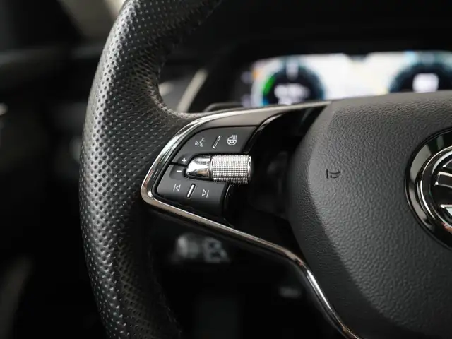 Skoda Octavia view 9