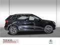 Skoda Kamiq 1.0l TSI Selection WINTER BLACK KOMFORT Noir - thumbnail 4