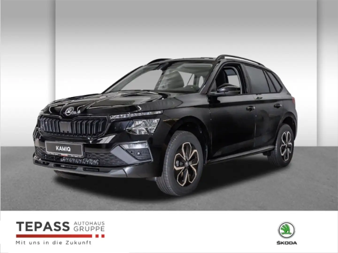Skoda Kamiq 1.0l TSI Selection WINTER BLACK KOMFORT Noir - 1