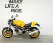 Ducati Monster 600 Giallo - thumbnail 2