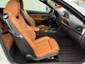 BMW 430 i Cabrio xDrive, Cam, Volant/Cuir/Nuque Chauff White - thumbnail 19