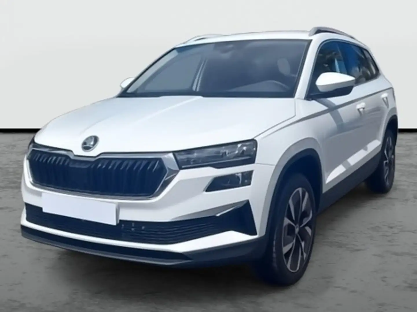 Skoda Karoq Selection Advanced 1.0 TSI 85 kW (116 CV) Manual 6 Amarillo - 1