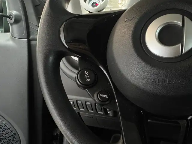 Smart Fortwo view 15