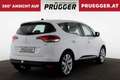 Renault Scenic Blue dCi 120 LIMITED NAVI KAMERA KEYLESS AHV Weiß - thumbnail 5
