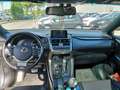Lexus NX 300 NX I 300h 2.5 F-Sport 4wd cvt -RATE PERMUTE UNIPRO Grigio - thumbnail 11