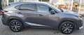 Lexus NX 300 NX I 300h 2.5 F-Sport 4wd cvt -RATE PERMUTE UNIPRO Grigio - thumbnail 14