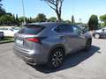 Lexus NX 300 NX I 300h 2.5 F-Sport 4wd cvt -RATE PERMUTE UNIPRO Grigio - thumbnail 3
