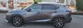 Lexus NX 300 NX I 300h 2.5 F-Sport 4wd cvt -RATE PERMUTE UNIPRO Grigio - thumbnail 13