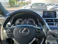 Lexus NX 300 NX I 300h 2.5 F-Sport 4wd cvt -RATE PERMUTE UNIPRO Grigio - thumbnail 10