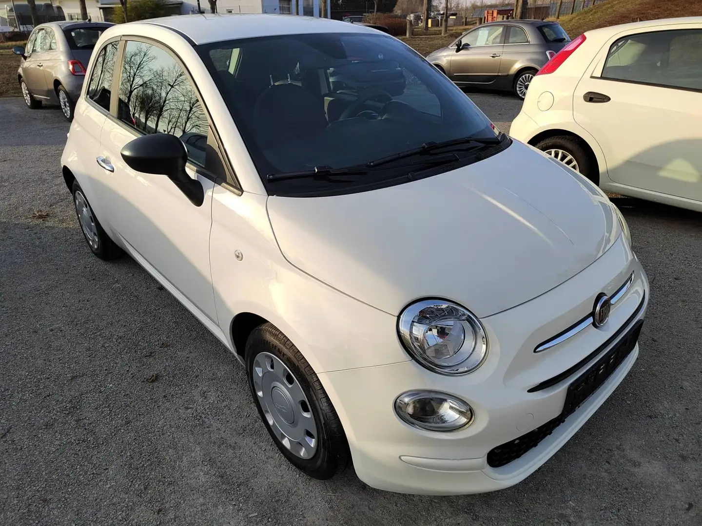 Fiat 500 MY21 1.0 GSE Hybrid CULT Klima-DAB-ZV m. FB Weiß - 1