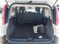 Fiat Panda VAN 2 POSTI N1 AUTOCARRO 1.0 Hybrid 70CV Bianco - thumbnail 12