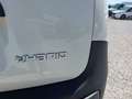 Fiat Panda VAN 2 POSTI N1 AUTOCARRO 1.0 Hybrid 70CV Bianco - thumbnail 15