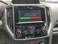 Subaru XV 1.6i Pure AWD AUT. | climate control | adaptieve c Grijs - thumbnail 25