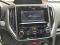 Subaru XV 1.6i Pure AWD AUT. | climate control | adaptieve c Grijs - thumbnail 23