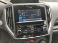 Subaru XV 1.6i Pure AWD AUT. | climate control | adaptieve c Grijs - thumbnail 21