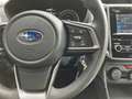 Subaru XV 1.6i Pure AWD AUT. | climate control | adaptieve c Grijs - thumbnail 24