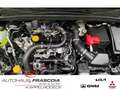 Mitsubishi ASX 1.0 AHK  Rückfahrkam. PDC Klima LED SHZ Apple CarP Blau - thumbnail 13
