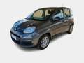 Fiat Panda 1.0 70cv S&S Hybrid E6d-T Easy 5 PORTE - thumbnail 2